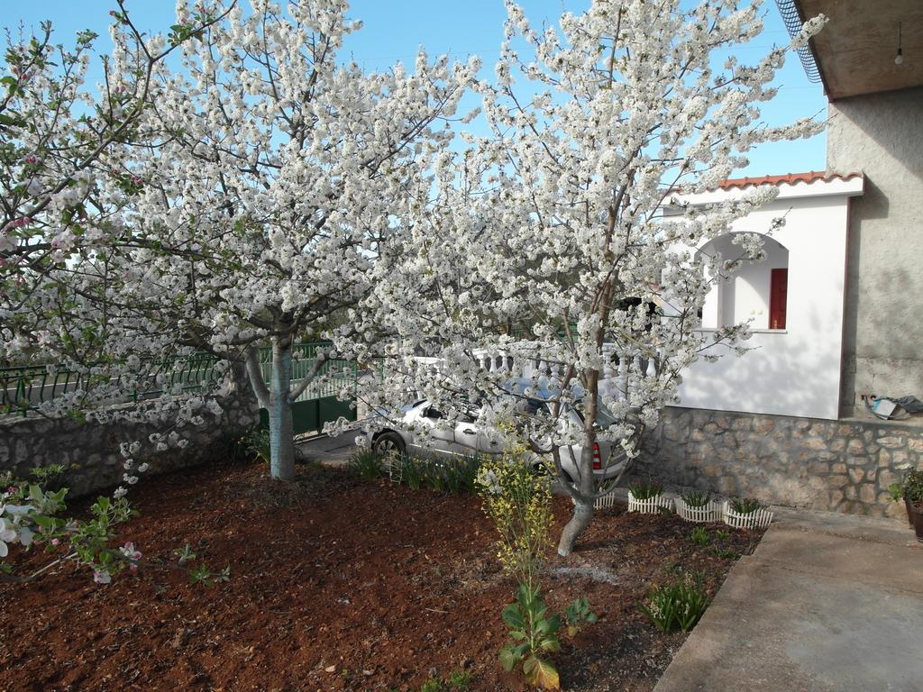 Apartment Antonio Šibenik Exterior foto