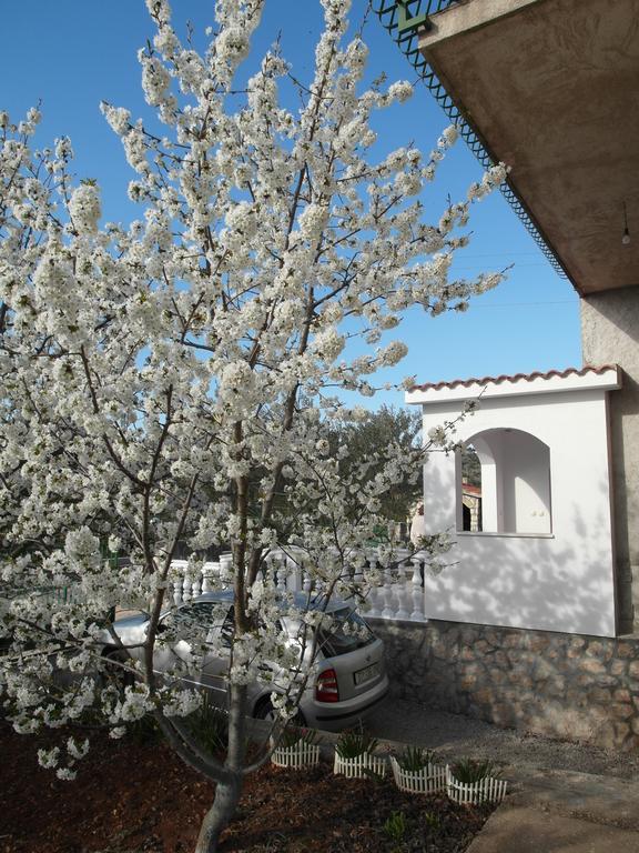 Apartment Antonio Šibenik Exterior foto